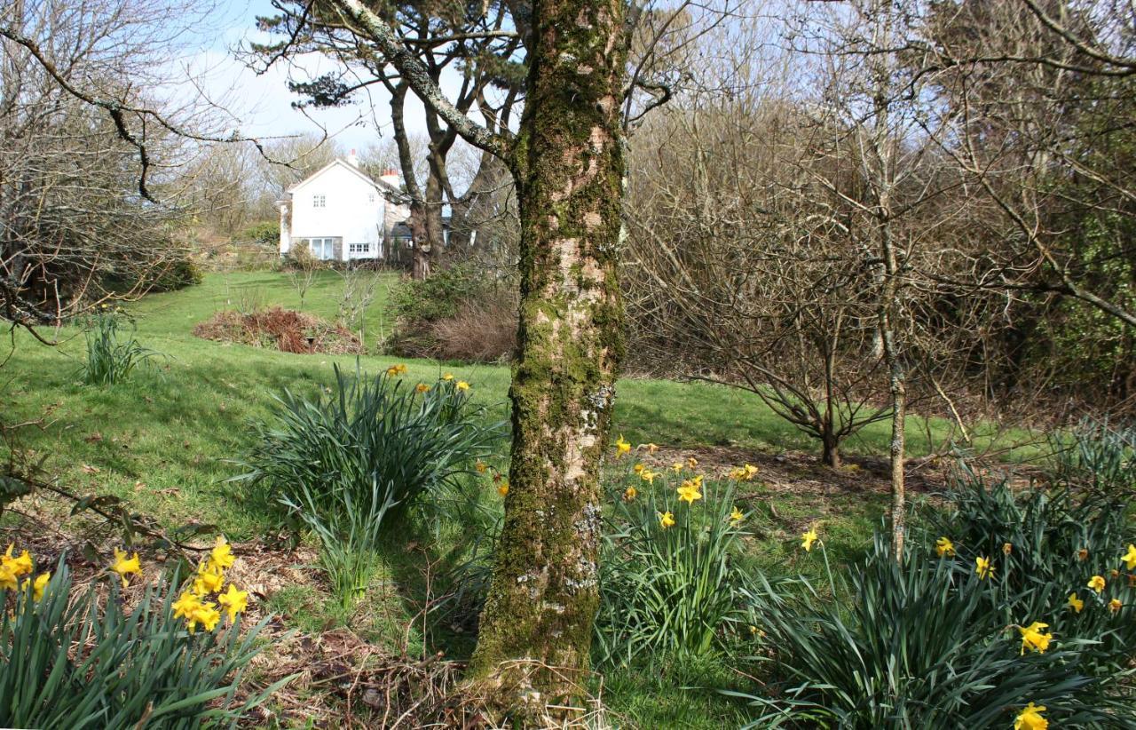 Coombe Farmhouse Bed and Breakfast St Ives Εξωτερικό φωτογραφία