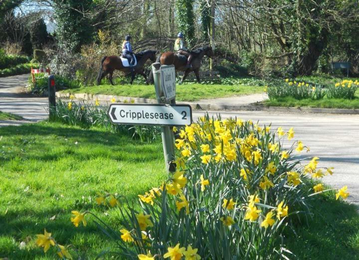 Coombe Farmhouse Bed and Breakfast St Ives Εξωτερικό φωτογραφία